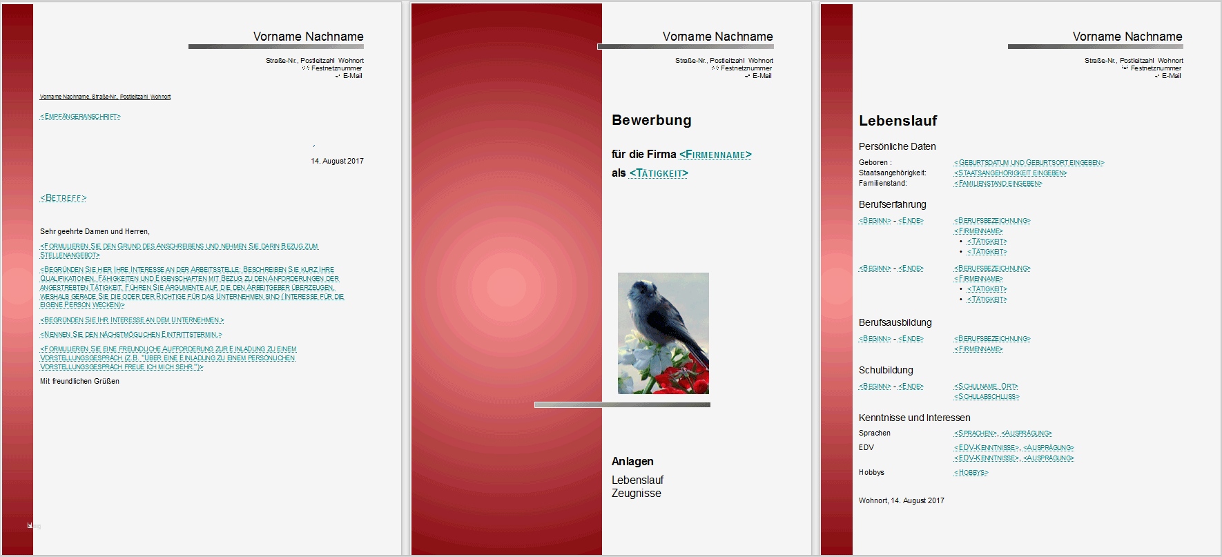 Libreoffice Vorlagen Bewerbung Erstaunlich Bewerbungsvorlagen Für Libreoffice