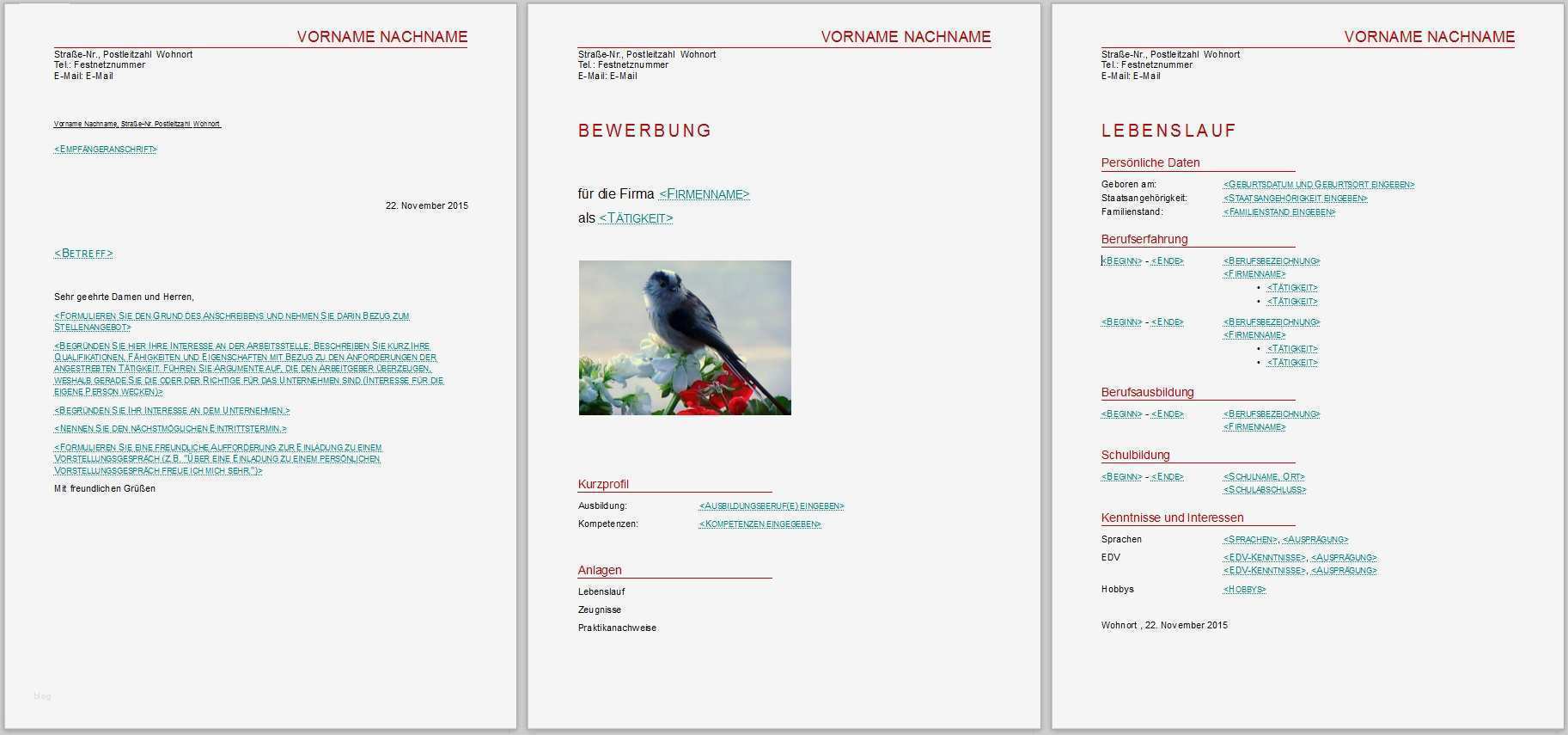 Libreoffice Vorlagen Bewerbung Neu Bewerbungsvorlagen Für Libreoffice