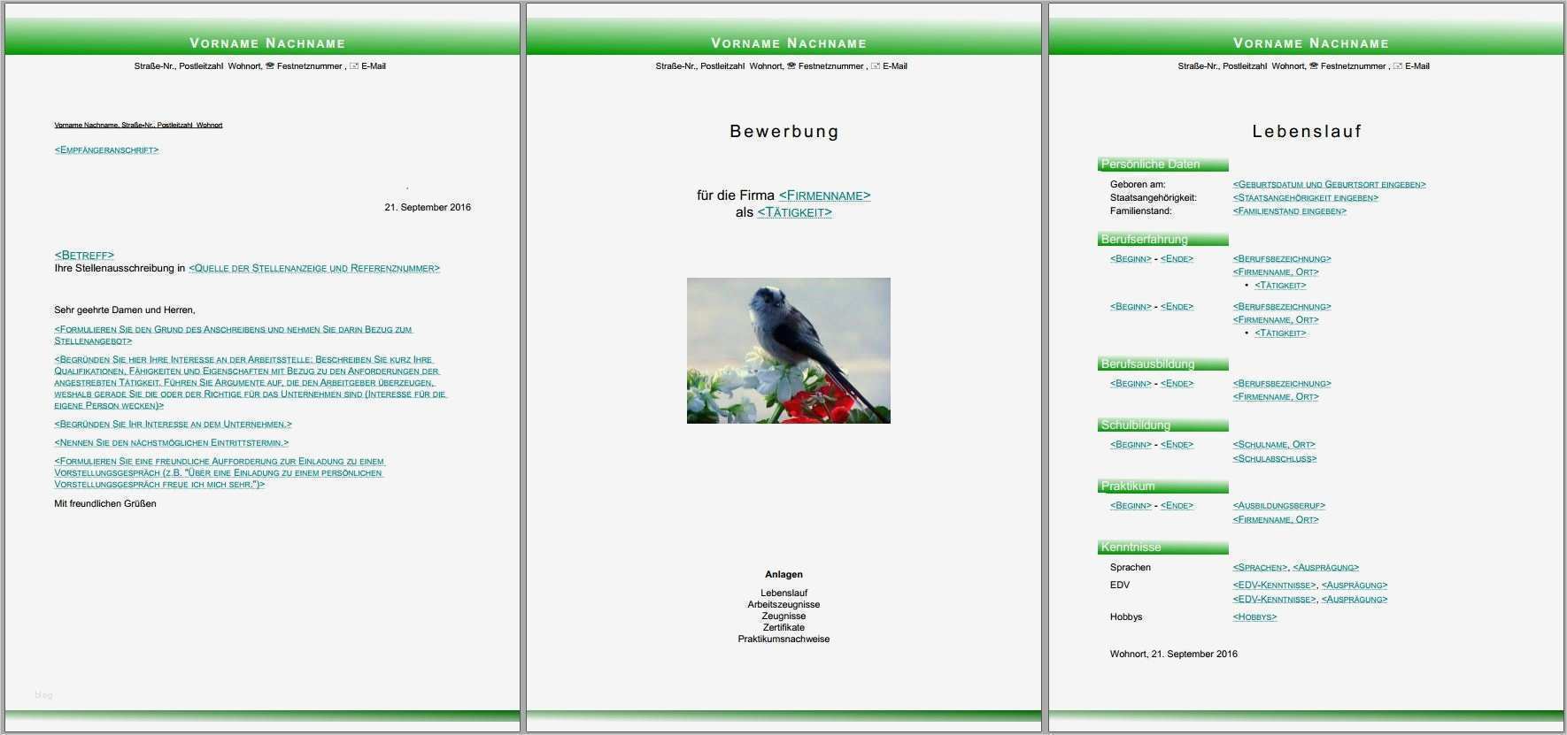 Libreoffice Vorlagen Bewerbung Wunderbar Bewerbungsvorlagen Für Libreoffice
