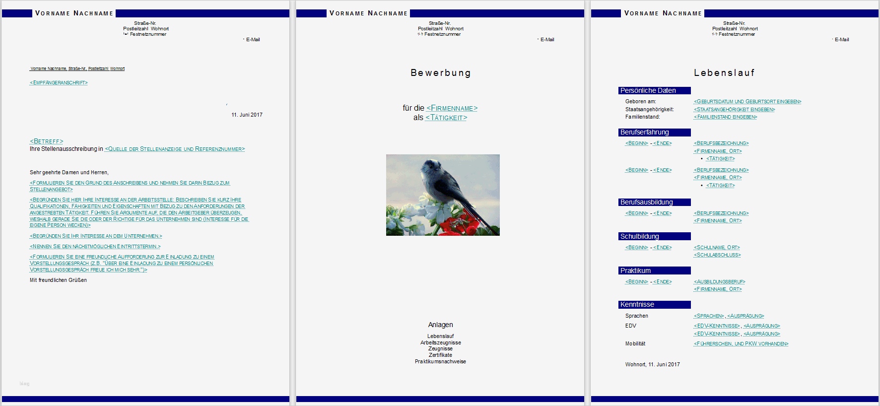 Libreoffice Vorlagen Bewerbung Wunderbar Bewerbungsvorlagen Für Libreoffice