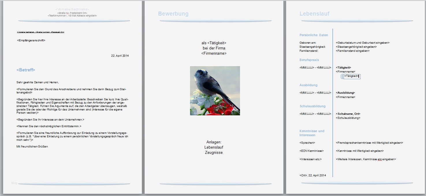Libreoffice Vorlagen Bewerbung Wunderbar Bewerbungsvorlagen Word 2010