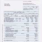 Lohnabrechnung Excel Vorlage Erstaunlich tolle Excel Vorlagen Für Die Gehaltsabrechnung Bilder