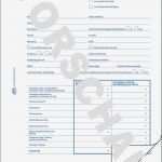 Lohnabrechnung Vorlage Word Beste Lohnabrechnung Für Geringf Beschäftigte 506