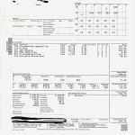 Lohnabrechnung Vorlage Word Wunderbar Ausgezeichnet Word Vorlage Lohnzettel Fotos Bilder Für