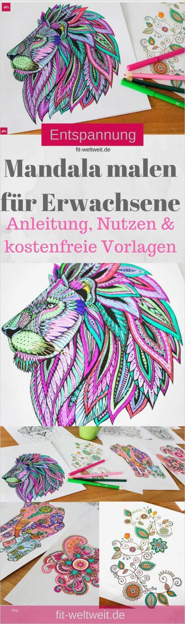 Malen Erwachsene Vorlagen Fabelhaft Mandala Malen Für Erwachsene Als Entspannung Anleitung