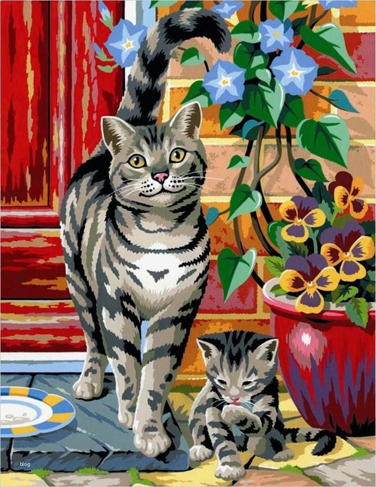 Malen Nach Zahlen Katzen Vorlagen Bewundernswert Ksg Malen Nach Zahlen Masterpiece Twinpack Katzen