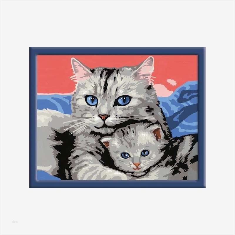 Malen Nach Zahlen Katzen Vorlagen Cool Malen Nach Zahlen Katzen Preisvergleich