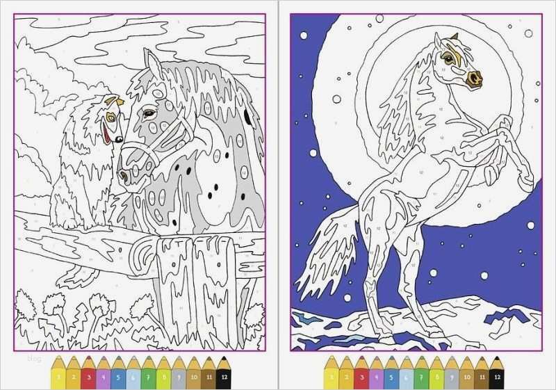 Malen Nach Zahlen Vorlagen Kostenlos Für Erwachsene Cool Malen Nach Zahlen Pferde Buch Bücher