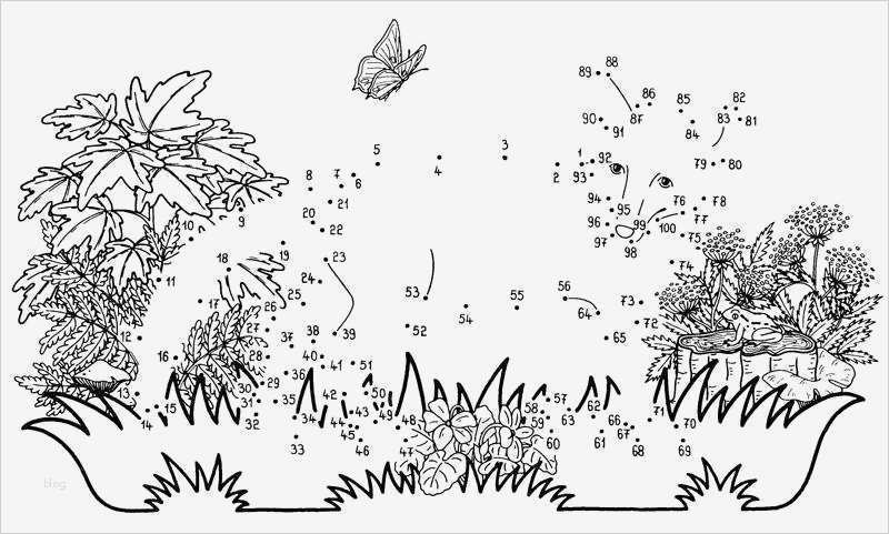 Malen Nach Zahlen Vorlagen Kostenlos Schön Ausmalbild Malen Nach Zahlen Fuchs Kostenlos Ausdrucken