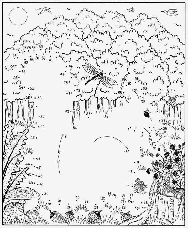 Malvorlagen Punkte Verbinden Vorlagen Best Of Dibujo De Unir Puntos De Ardilla Dibujo Para Colorear E