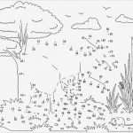 Malvorlagen Punkte Verbinden Vorlagen Erstaunlich Malen Nach Zahlen Kaenguru Mit Baby 800×622