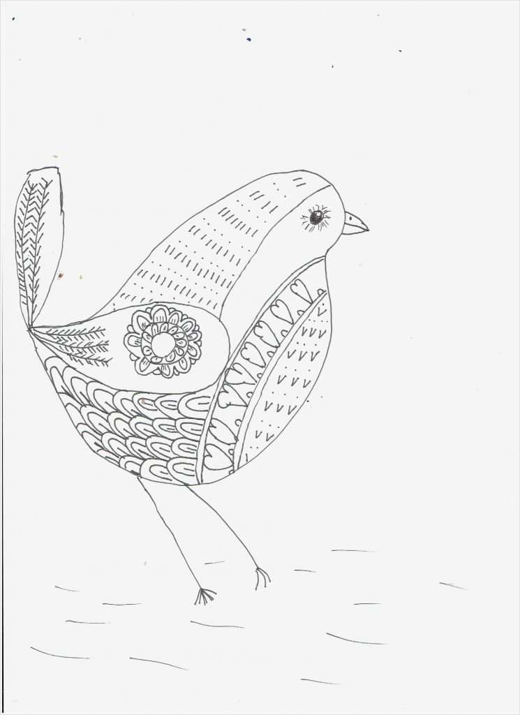 47 Neu Manga Körper Vorlage Galerie 3 Manga Körper Vorlage Wunderbar Cindy Wilde – Fantastisch Zeichnen Schritt Für Schritt