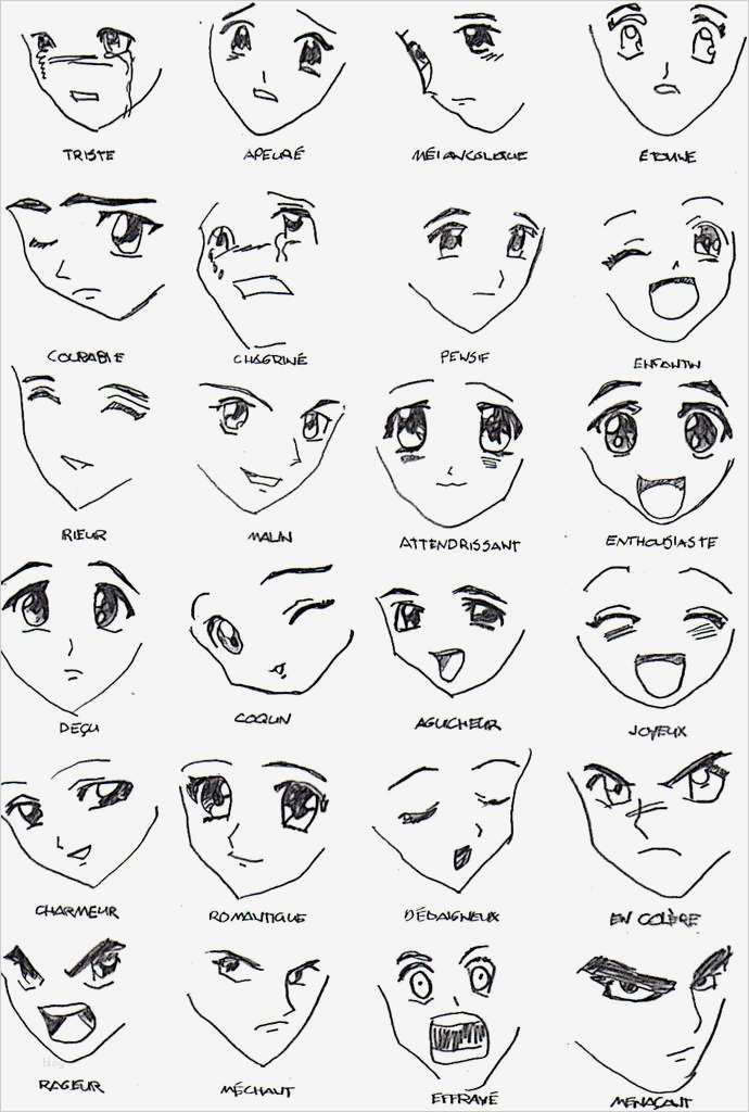 Manga Vorlagen Zum Zeichnen Gut Datei Image Manga Emotion Big – Mangas Zeichnen Wiki