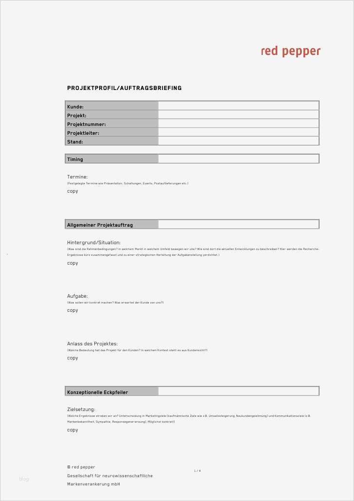 Marketing Briefing Vorlage Luxus Briefingvorlage Pdf