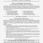 Master Vendor Vertrag Vorlage Best Of Charmant Franchise Vertrag formular Galerie Bilder Für