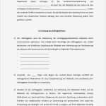 Master Vendor Vertrag Vorlage Schönste Fantastisch Muster Verhalten Vertrag Zeitgenössisch