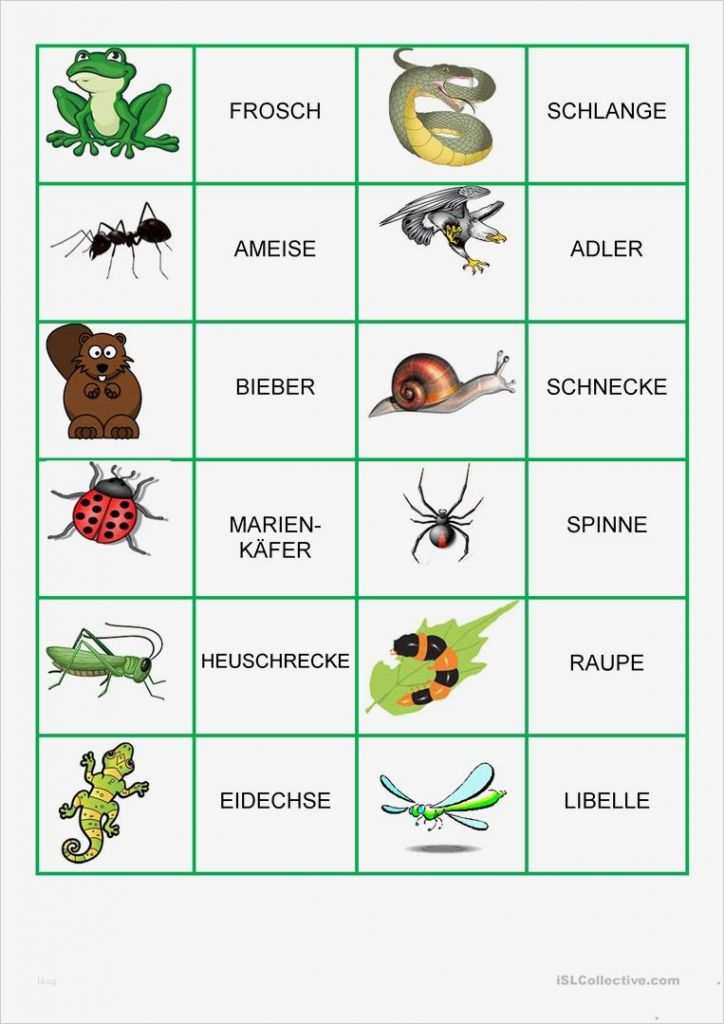 Memory Karten Vorlage Erstaunlich Memory Spiel Tiere Im Wald Und Garten
