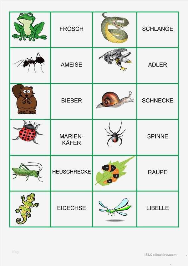 Memory Karten Vorlage Genial Memory Spiel Tiere Im Wald Und Garten Arbeitsblatt