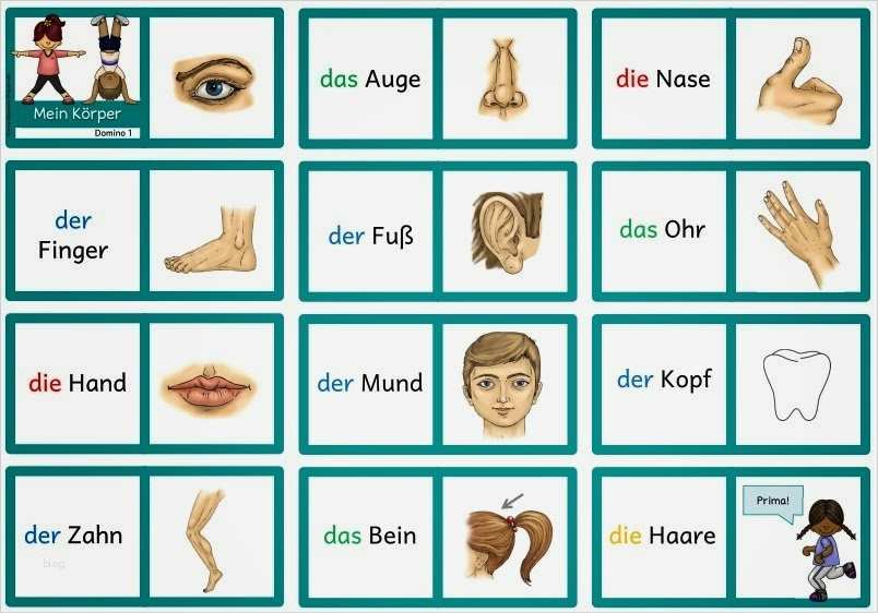 Memory Karten Vorlage Hübsch Ideenreise Dominos "mein Körper" Für Daz