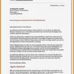 Mietaufhebungsvertrag Vorlage Kostenlos Einzigartig Nett tolle Lebensläufe Beispiele 2015 Zeitgenössisch