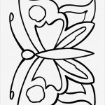 Mitarbeiter Datenbank Access Vorlage Luxus Gallery Of Lebenslauf Mitarbeiter Versandwareneingang