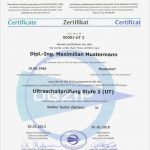 Mitarbeiterausweis Vorlage Kostenlos Erstaunlich Berühmt Besucherausweis Vorlage Galerie Beispiel