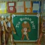 Mode Zeichnen Vorlage Cool Die Besten 25 Körpervorlage Ideen Auf Pinterest