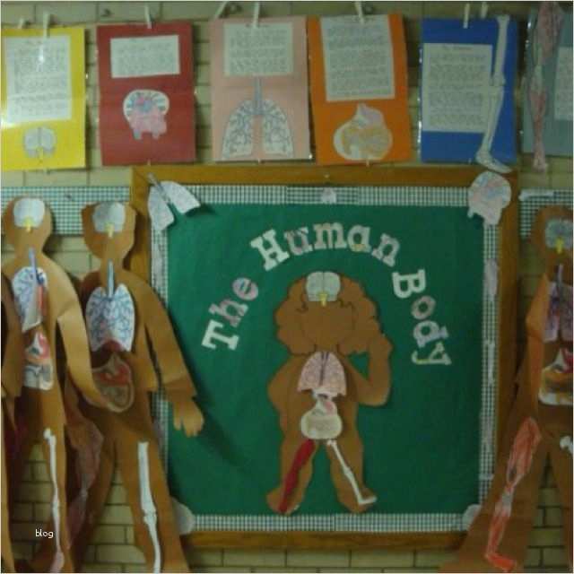 Mode Zeichnen Vorlage Cool Die Besten 25 Körpervorlage Ideen Auf Pinterest