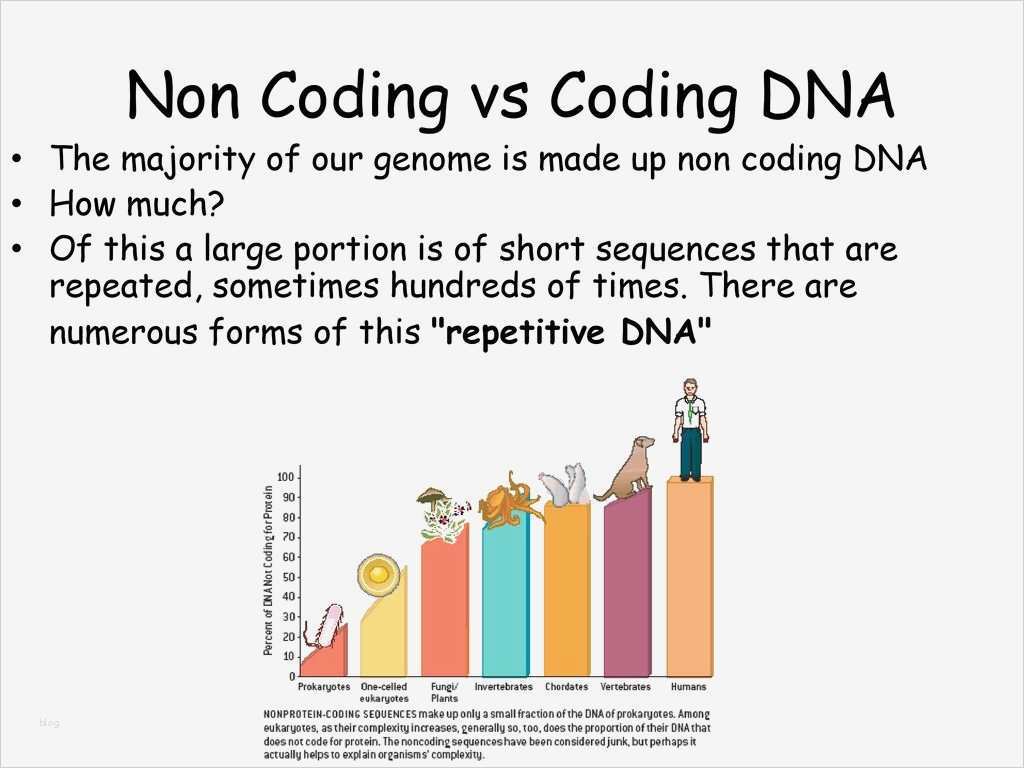 Modellbau Papier Vorlagen Neu Laubsäge Vorlagen Avec Modellbau Papier Vorlagen Et