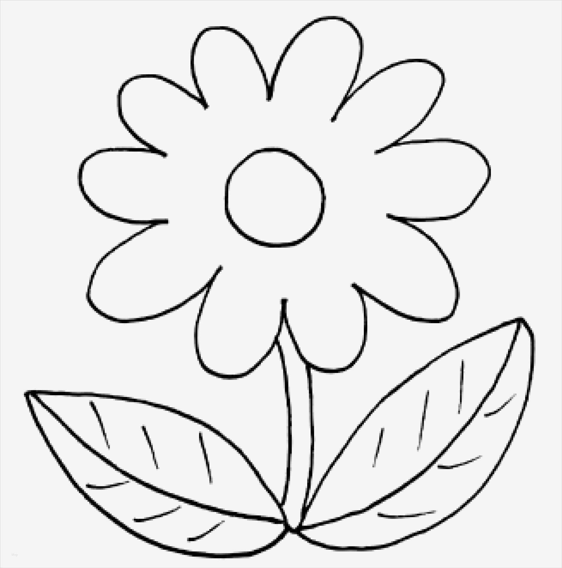 Motion 5 Vorlagen Erstaunlich Ausmalbilder Frühling