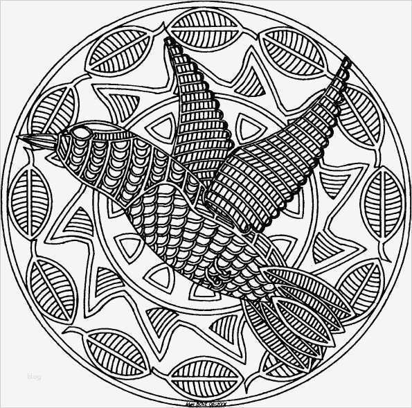 Motion Vorlagen Free Gut Coloriage A Imprimer Mandala Oiseau Gratuit Et Colorier