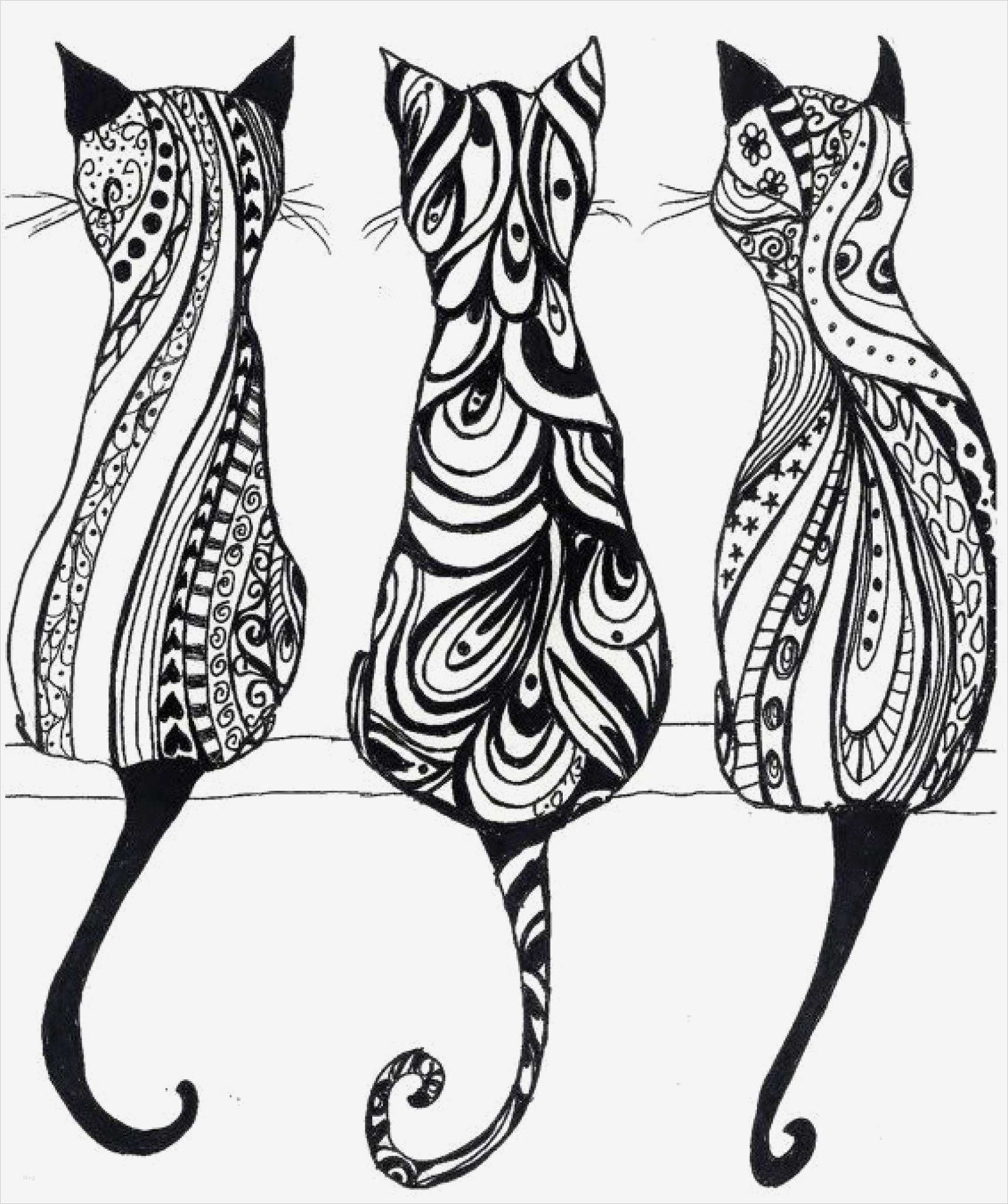 Motion Vorlagen Free Gut Kočič Omalovánky Návody Pro Tvořen