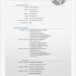 Newsletter Abbestellen Vorlage Genial Lebenslauf Vorlage 38 Bewerbungsschreiben