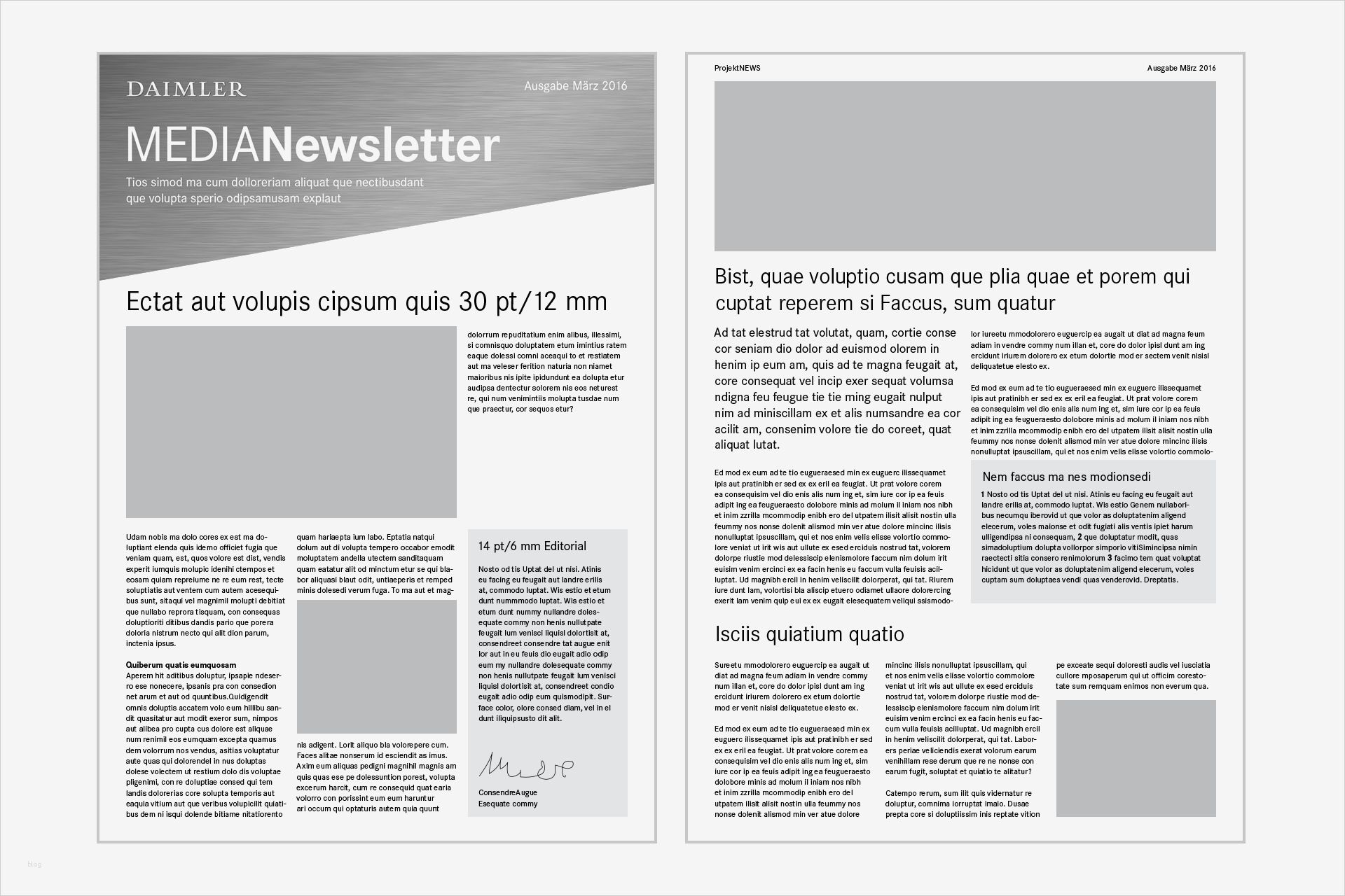 Newsletter Indesign Vorlage Bewundernswert Daimler Brand & Design Navigator