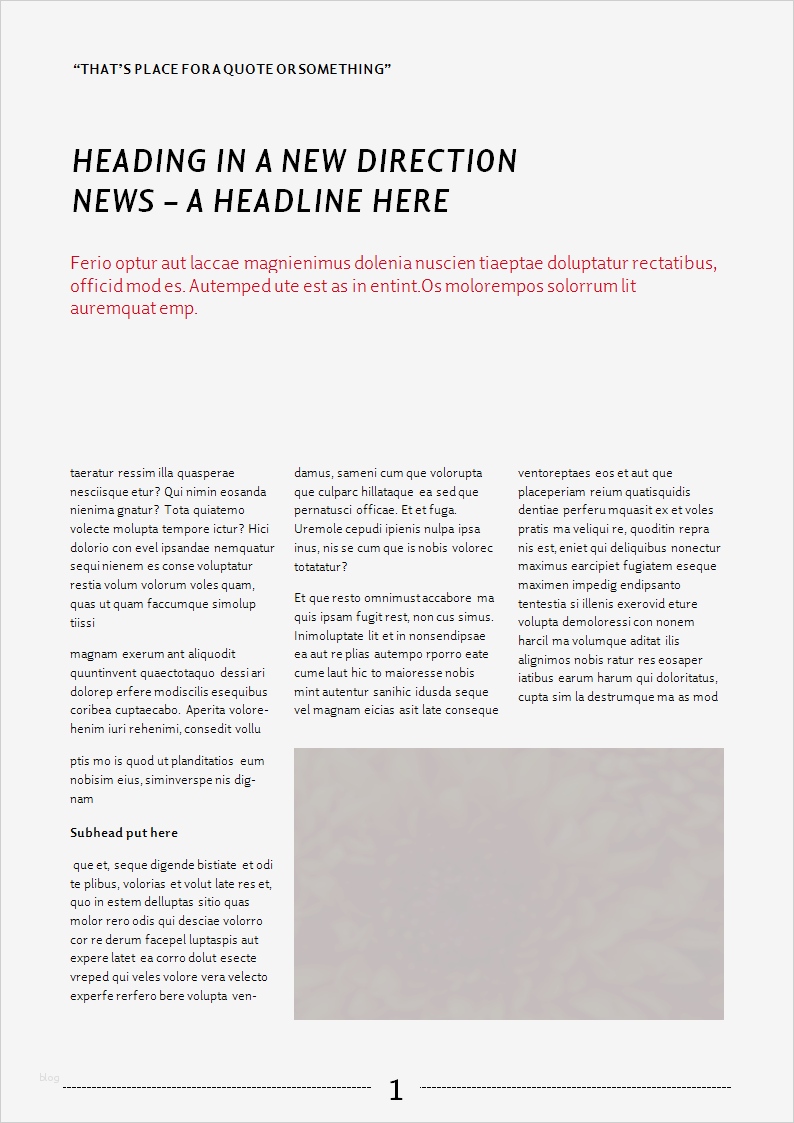 Newsletter Indesign Vorlage Luxus Eworks Referenz