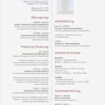 Newsletter Vorlage Word Bewundernswert Lebenslauf Muster Für Publisher