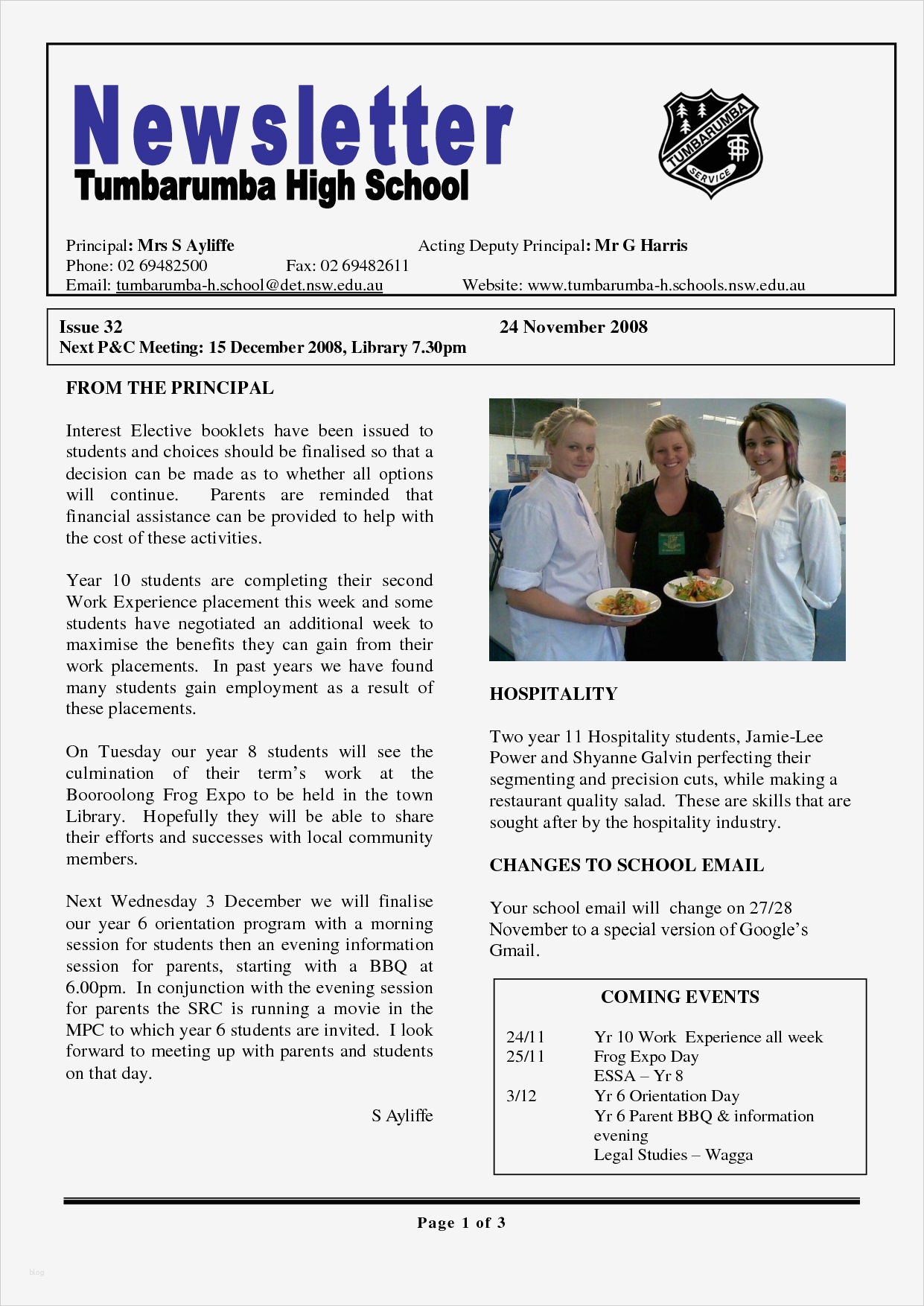 Newsletter Vorlage Word Erstaunlich 17 Awesome High School Newsletter Templates Images