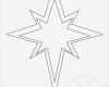 Ninja Stern Vorlage Cool Search Results for “christmas Star Coloring Page Template