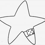 Ninja Stern Vorlage Hübsch Charmant Ninja Stern Vorlage Galerie Entry Level Resume