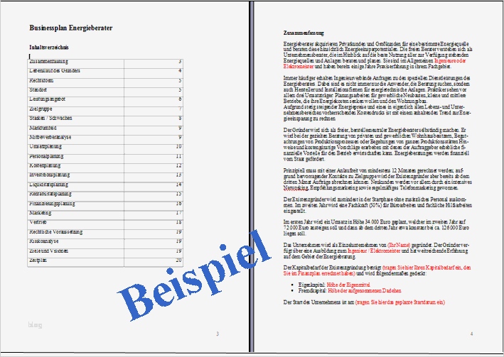 Nuk Businessplan Vorlage Neu Existenzgründung Businessplan Taxi Unternehmer