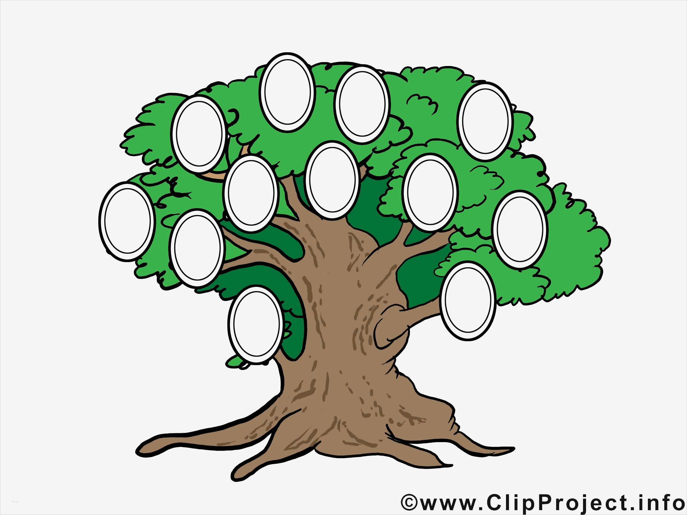 Nutzungsrechte Fotos Vorlage Cool Familienstammbaum Vorlage