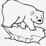 Nutzungsrechte Fotos Vorlage Luxus Eisbär Malvorlage Malvorlagen Gratis