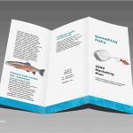 Office Vorlagen Kostenlos Elegant Word Faltblatt Vorlagen Zum Herunterladen