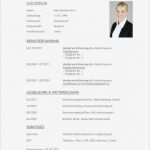 Openoffice Vorlagen Bewerbung Lebenslauf Luxus Kostenlose Open Fice Vorlagen Lebenslauf Hochwertige