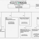 Organigramm Verein Vorlage Best Of Fein organigramms Personal Zeitgenössisch Anatomie Von