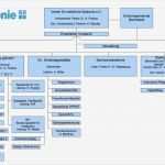 Organigramm Verein Vorlage Best Of organigramm