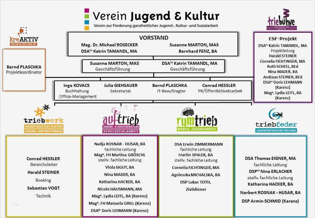 Organigramm Verein Vorlage Elegant organigramm