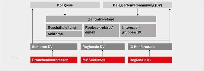 Organigramm Verein Vorlage Fabelhaft Großartig Grund organigramm Galerie Bilder Für Das