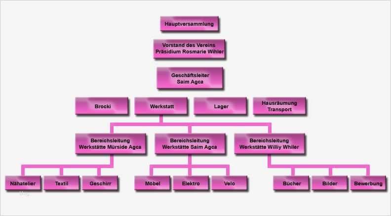 Organigramm Verein Vorlage Genial Verein Rosa Brockenhaus