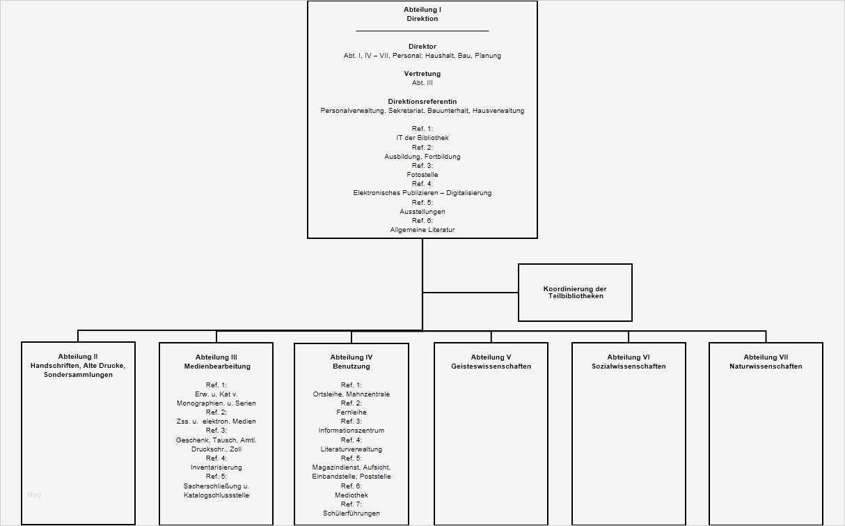 Organigramm Verein Vorlage Gut Fein organigramms Personal Zeitgenössisch Anatomie Von